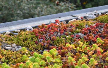 the cost of Patchacott green roof installation