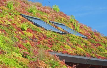 Patchacott living roof systems