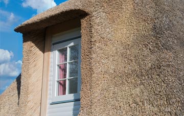 Patchacott thatch roof disadvantages